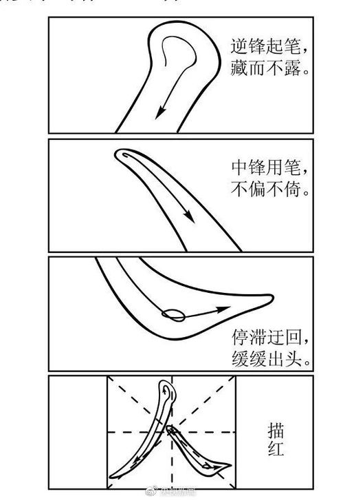 1335万人报名2025年全国高考