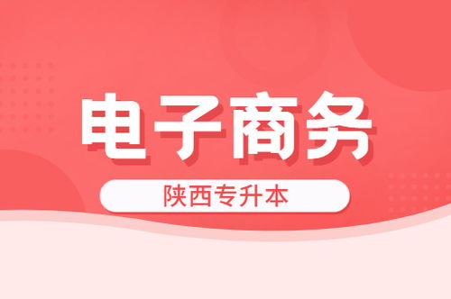 电子商务类相关专业本科