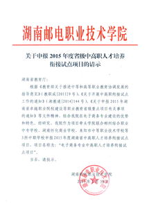 电子商务专业申请书范文