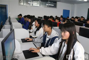 计算机专业就业电子商务