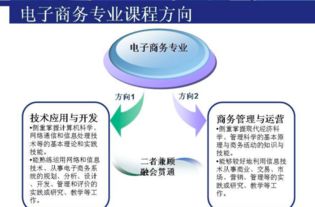 插本电子商务考的专业