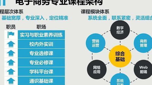 我心目中的电子商务专业